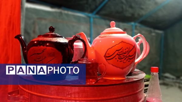 عطر غربت فاطمی در مارکده پیچید