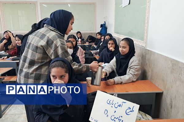 آغاز طرح مکمل یاری با آهن و ویتامین دی در مدارس کهریزک