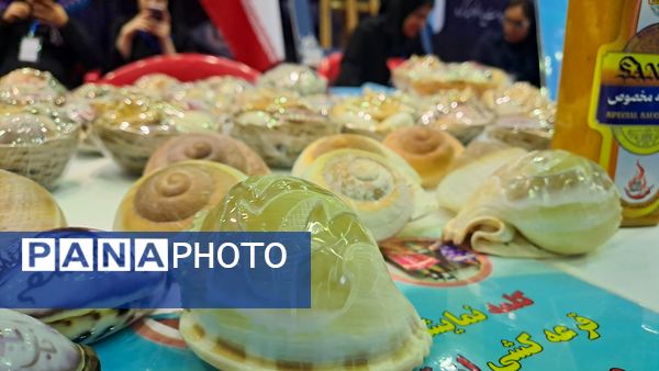 پنجمین دوره جشنواره علمی پژوهشی پژوهش‌سراهای دانش‌آموزی کشور 