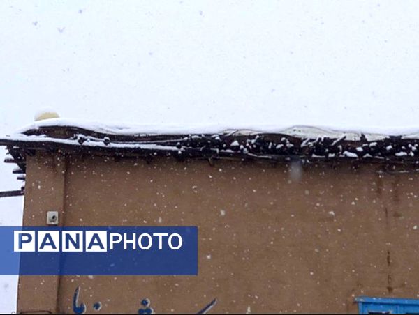 برف زمستانی، مهمان شهرستان کیار