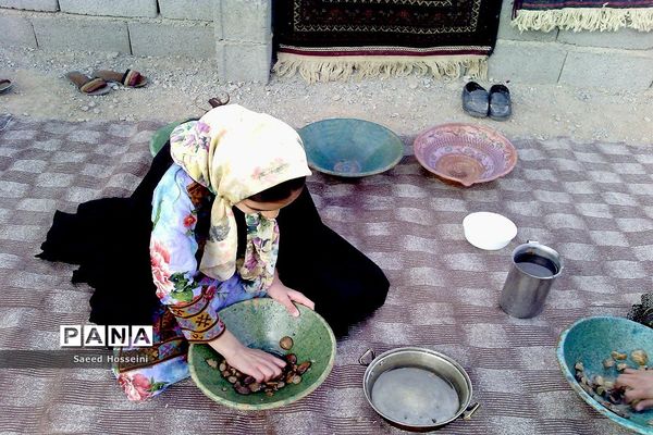 جشواره خاوران شناسی در مدرسه شهید قادری حسین آباد (زیرکوه)