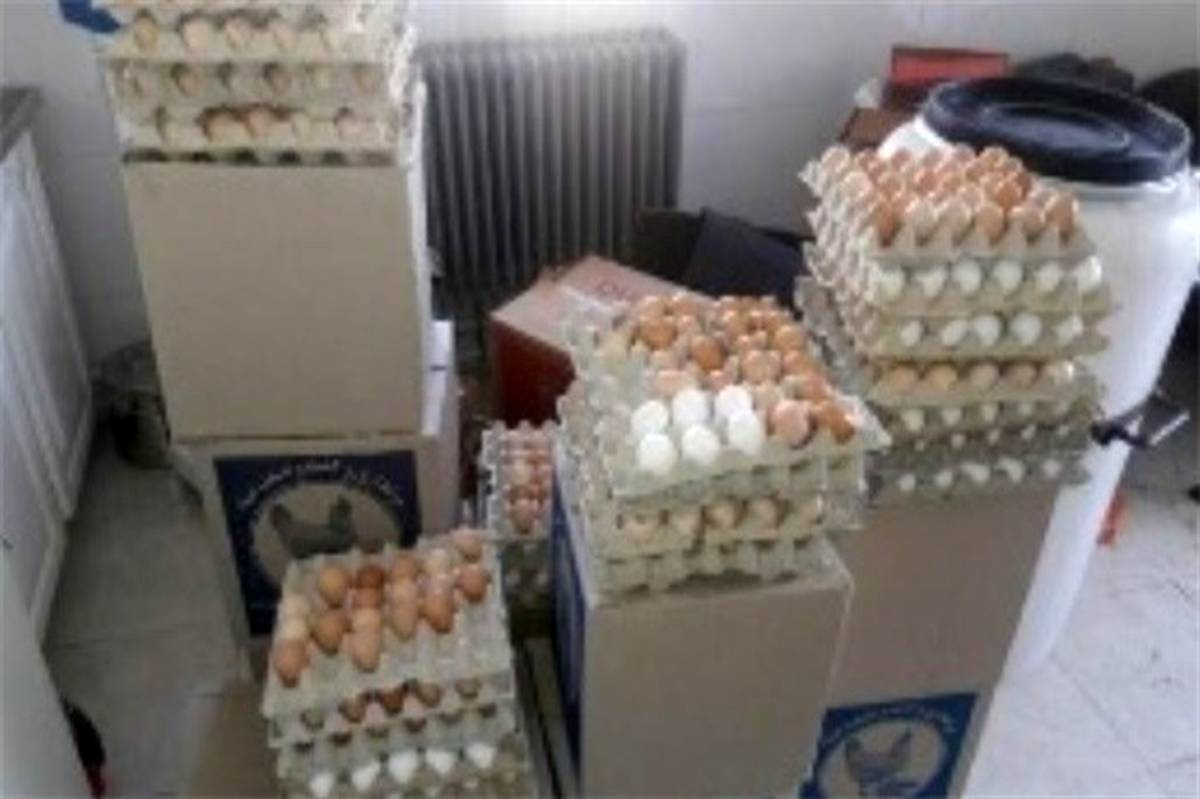 جمع آوری بیش از ۲ هزارو ۲۰۰ عدد تخم مرغ بدون نشانه در ماکو