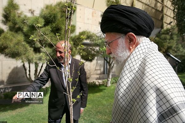 کاشت نهال توسط رهبر انقلاب در روز درختکاری