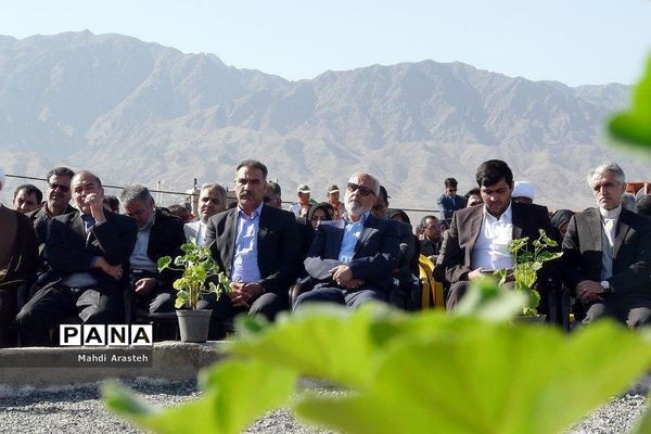 روز درختکاری دربوستان شهدای گمنام روستای حاجی آباد شهرستان بیرجند