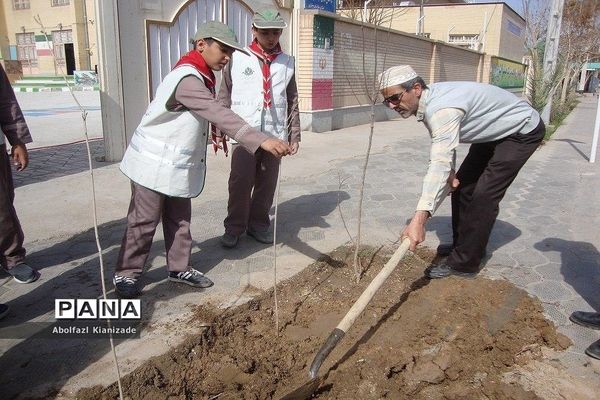 کاشت  نهال در مدرسه شاهد پسرانه  شهرستان بشرویه