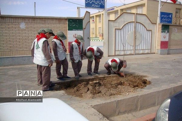 کاشت  نهال در مدرسه شاهد پسرانه  شهرستان بشرویه