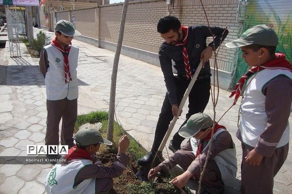 کاشت  نهال در مدرسه شاهد پسرانه  شهرستان بشرویه