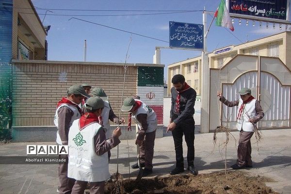 کاشت  نهال در مدرسه شاهد پسرانه  شهرستان بشرویه