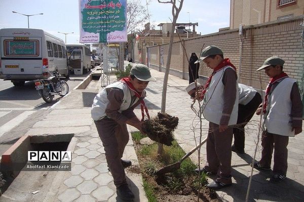 کاشت  نهال در مدرسه شاهد پسرانه  شهرستان بشرویه