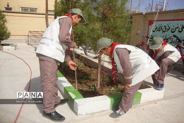 کاشت  نهال در مدرسه شاهد پسرانه  شهرستان بشرویه