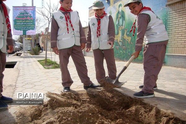 کاشت  نهال در مدرسه شاهد پسرانه  شهرستان بشرویه