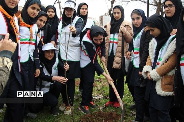 آیین درختکاری با حضور اعضای تشکیلات سازمان دانش‌آموزی در شهرستان ساری