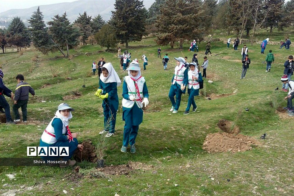 مراسم روز درختکاری با حضور دانش آموزان پیشتاز در مدارس استان کردستان