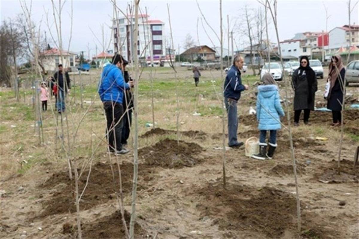 کاشت ۱۸۰ هزار اصله نهال در محل اجرای طرح هادی روستاهای گلستان