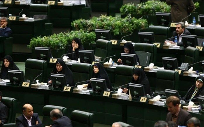 فراکسیون زنان مجلس از نگاه بانوان مجلس؛ پیگیری زنانه در بهارستان مردانه