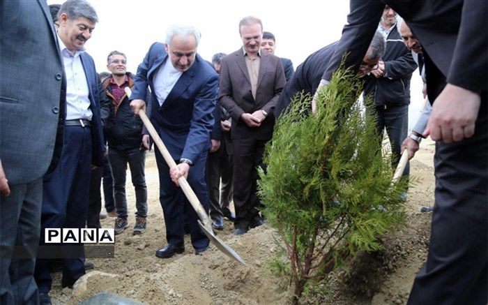 فرهنگ کاشت درخت بین جوانان نهادینه شود