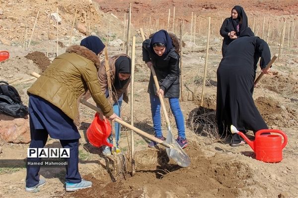 مراسم درختکاری شهرداران مدارس تبریز در تفرجگاه عون بن علی