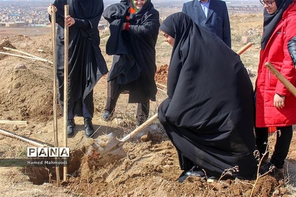 مراسم درختکاری شهرداران مدارس تبریز در تفرجگاه عون بن علی