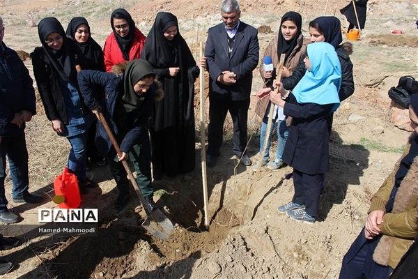 مراسم درختکاری شهرداران مدارس تبریز در تفرجگاه عون بن علی