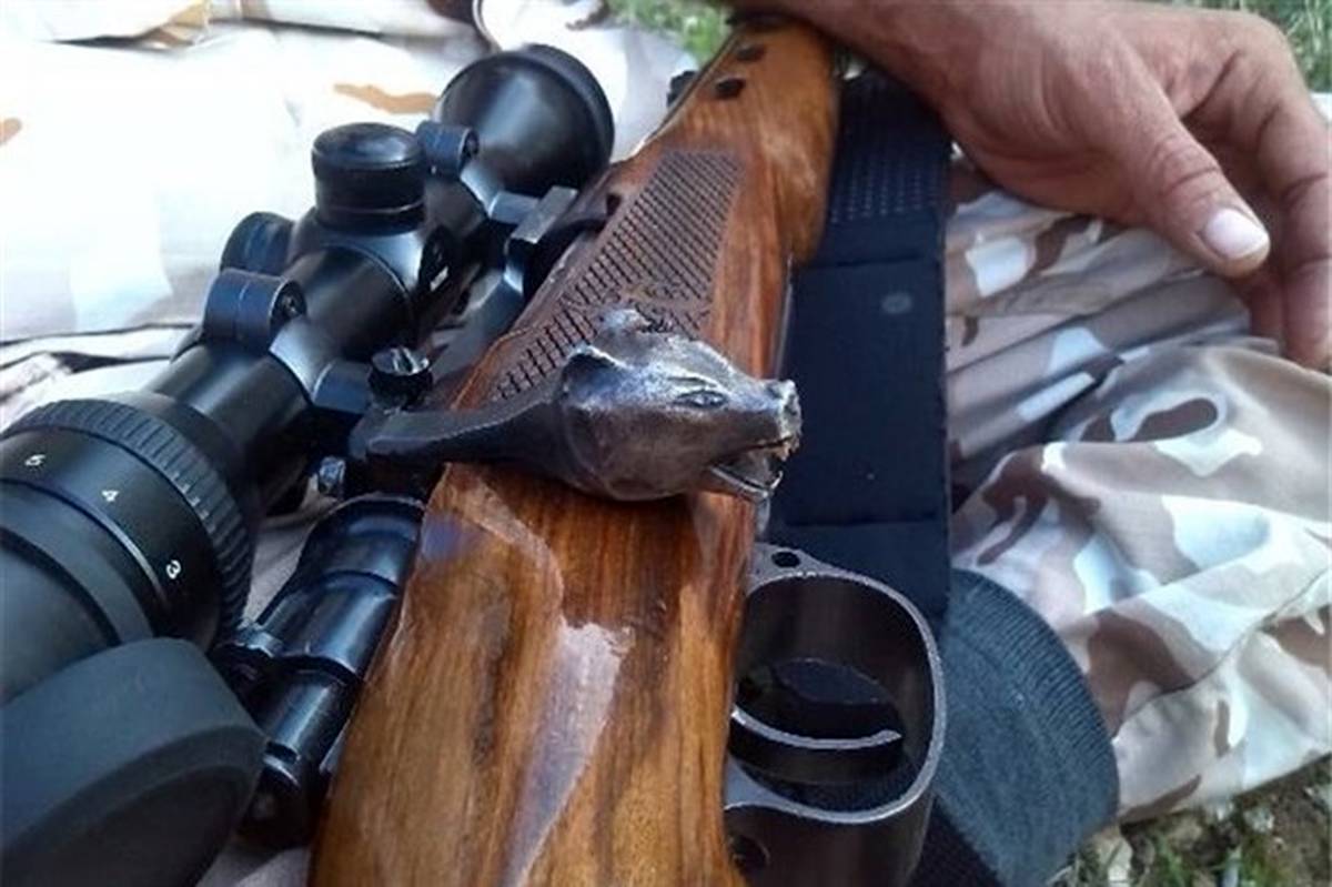 مدیرکل محیط زیست استان گلستان خبر داد: دستگیری ۳ شکارچی غیرمجاز و کشف سلاح کلاشینکف در پارک ملی گلستان