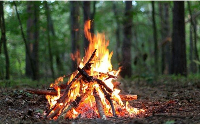 مدیر کل هواشناسی مازندران: مسافران نوروزی امروز از روشن کردن آتش در جنگل خودداری کنند