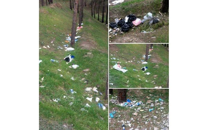 تصویر/ پارک جنگلی لویزان در تصرف زباله‌ها !