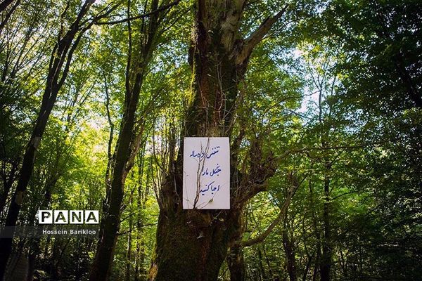 با طبیعت مهربان باشیم