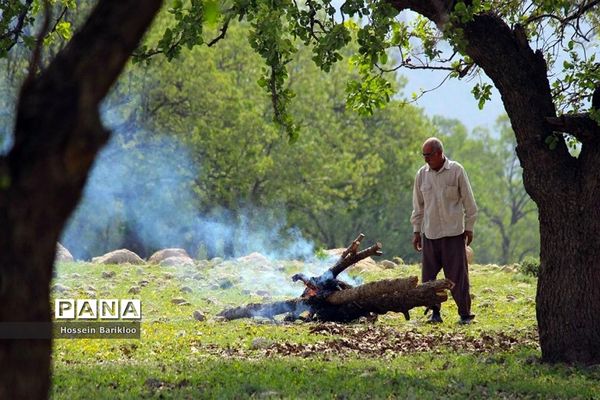 با طبیعت مهربان باشیم
