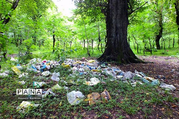 با طبیعت مهربان باشیم