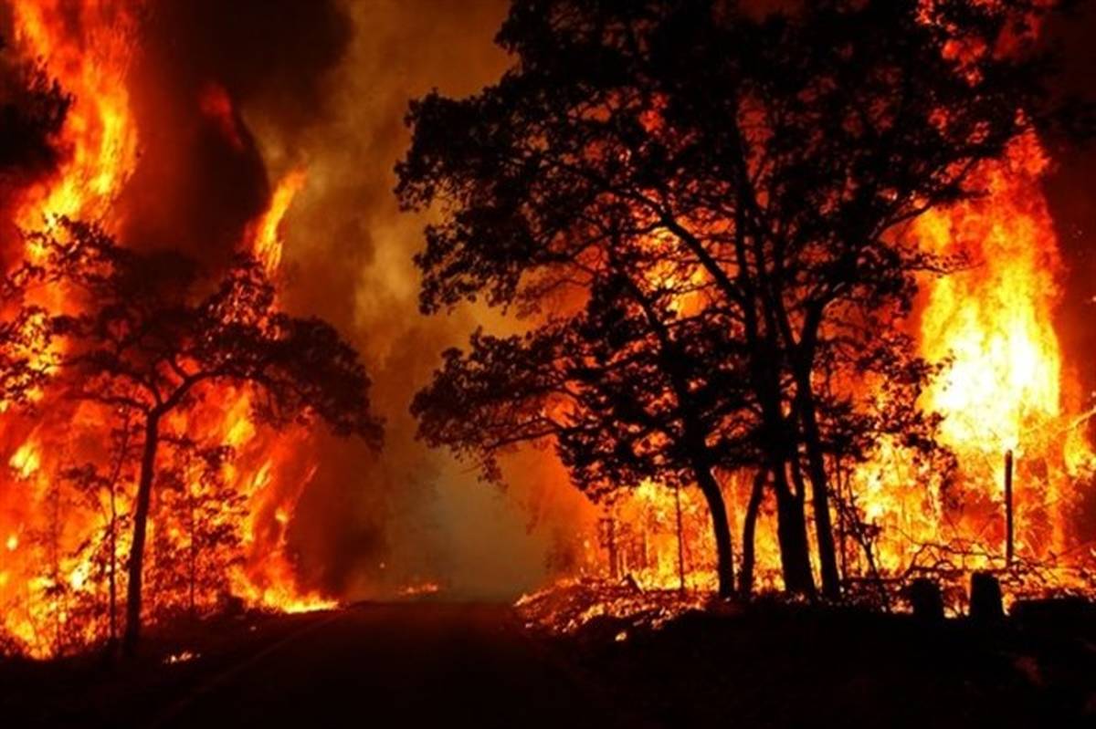 آتش‌سوزی در پارک جنگلی جزینک در سیستان و بلوچستان