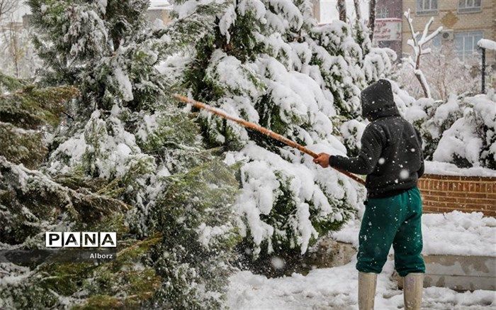 آماده باش شهرداری کرج برای حفاظت از فضای سبز و رفع آبگرفتگی