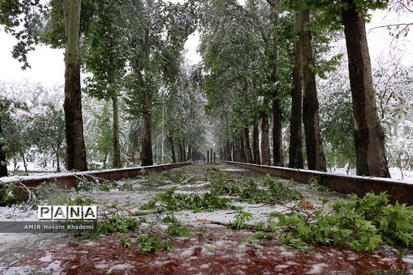 برف ریزان بهاری با بارش برف زمستانی در کرج