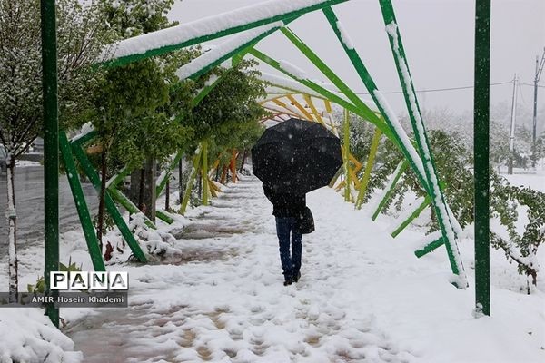 برف ریزان بهاری با بارش برف زمستانی در کرج