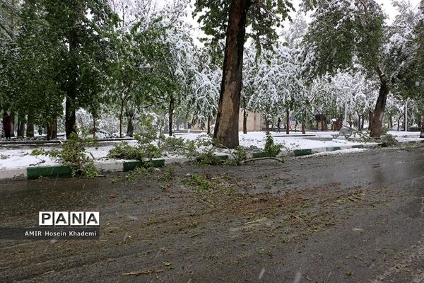 برف ریزان بهاری با بارش برف زمستانی در کرج