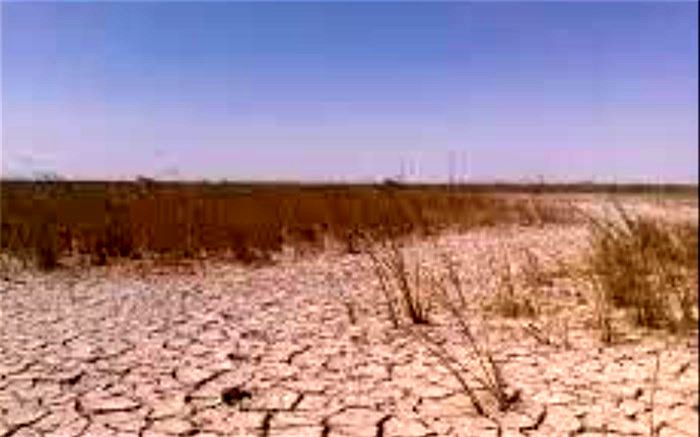 خشکسالی 154 میلیارد تومان به کشاورزان هامون خسارت وارد کرد