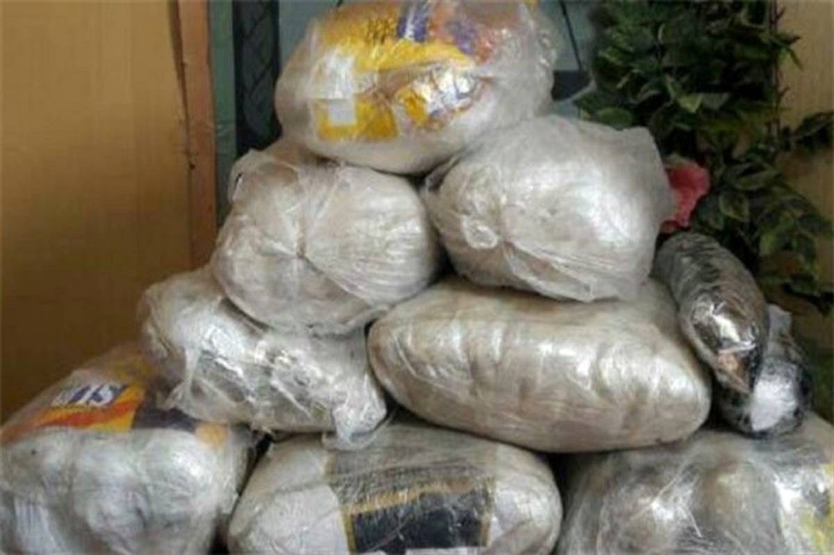 کشف 541 کیلوگرم موادمخدر در مازندران در فروردین‌ماه