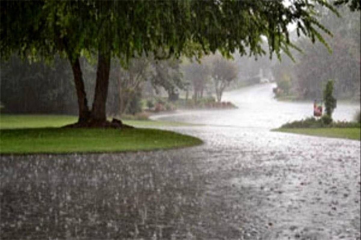 مدیرکل پیش‌بینی و هشدار سریع سازمان هواشناسی خبر داد: ورود سامانه بارشی جدید از روز پنجشنبه