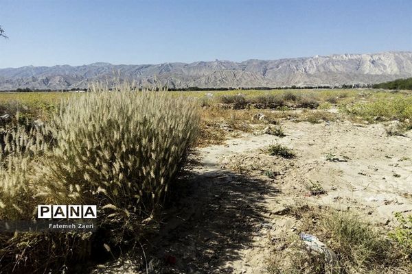 لامِرد خشک غرق در خشکسالی