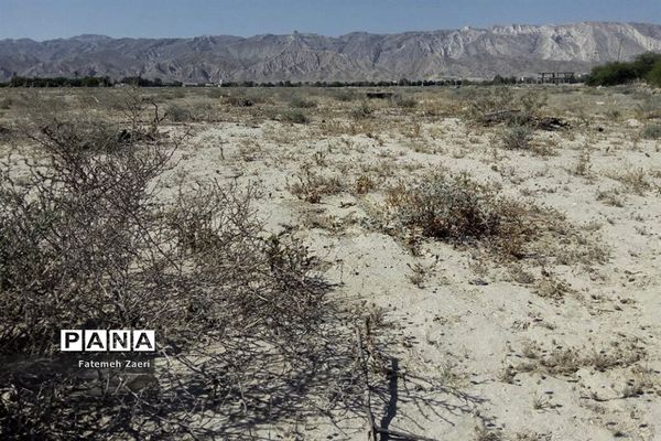 لامِرد خشک غرق در خشکسالی