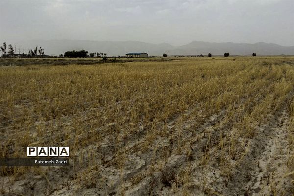 لامِرد خشک غرق در خشکسالی