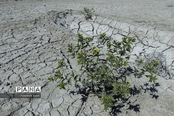 لامِرد خشک غرق در خشکسالی