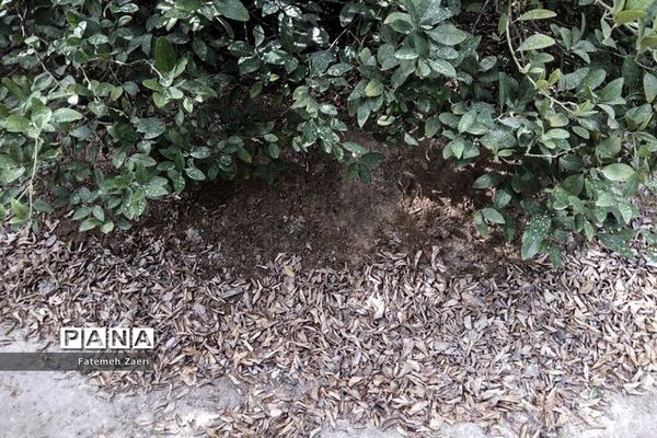 لامِرد خشک غرق در خشکسالی