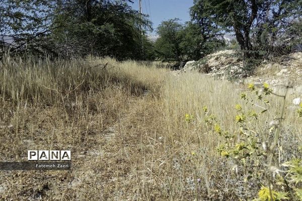لامِرد خشک غرق در خشکسالی