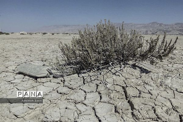 لامِرد خشک غرق در خشکسالی