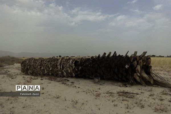 لامِرد خشک غرق در خشکسالی