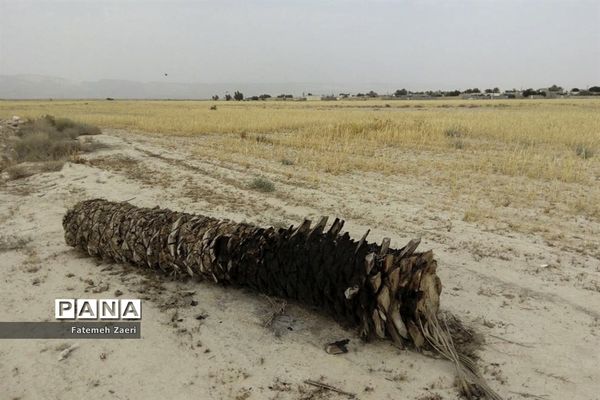 لامِرد خشک غرق در خشکسالی