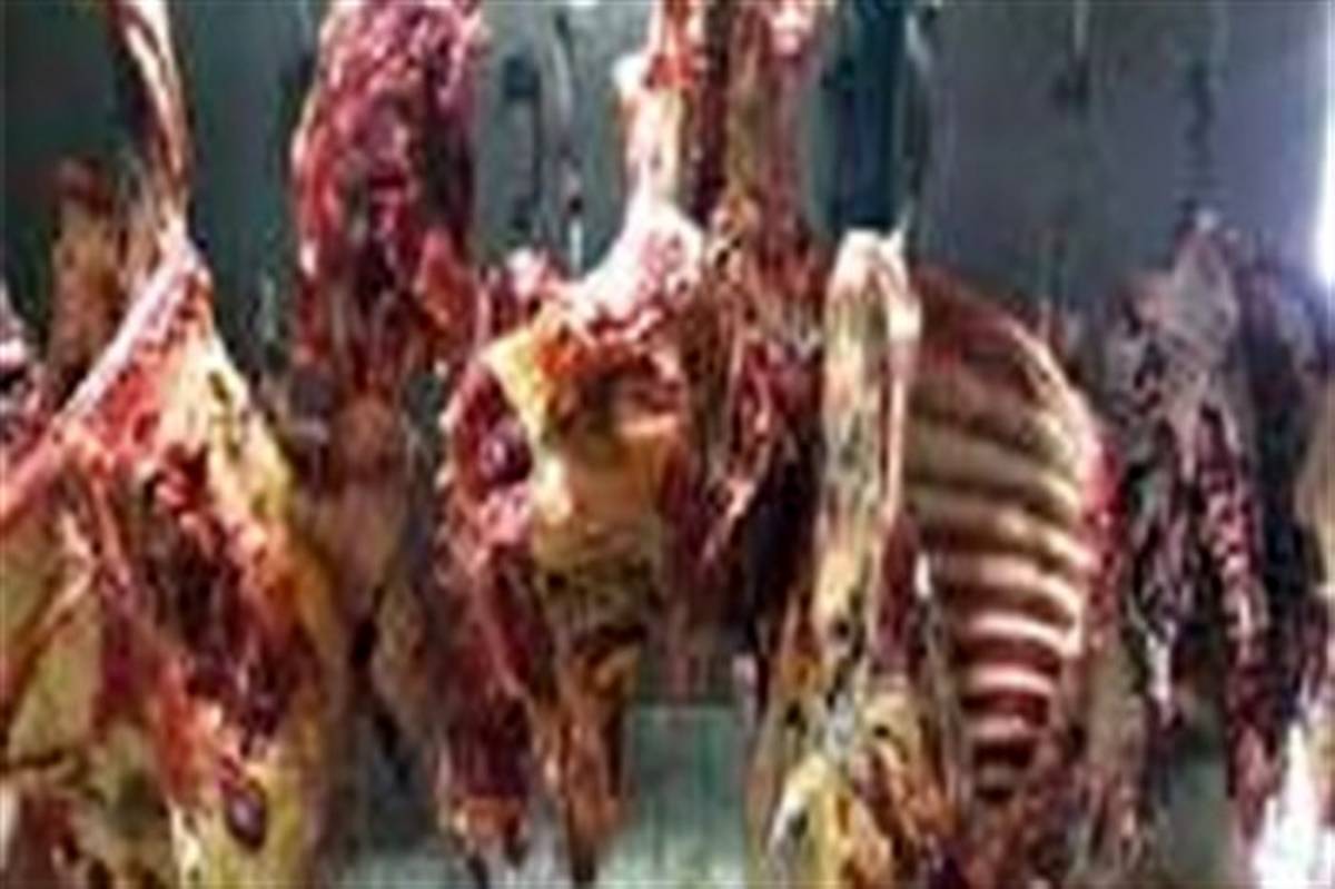 ساماندهی وضعیت توزیع گوشت گرم و منجمد در بیرجند