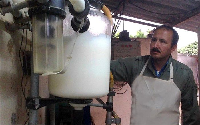  روزانه هزارتن شیر خام از دامداران خریداری می‌شود