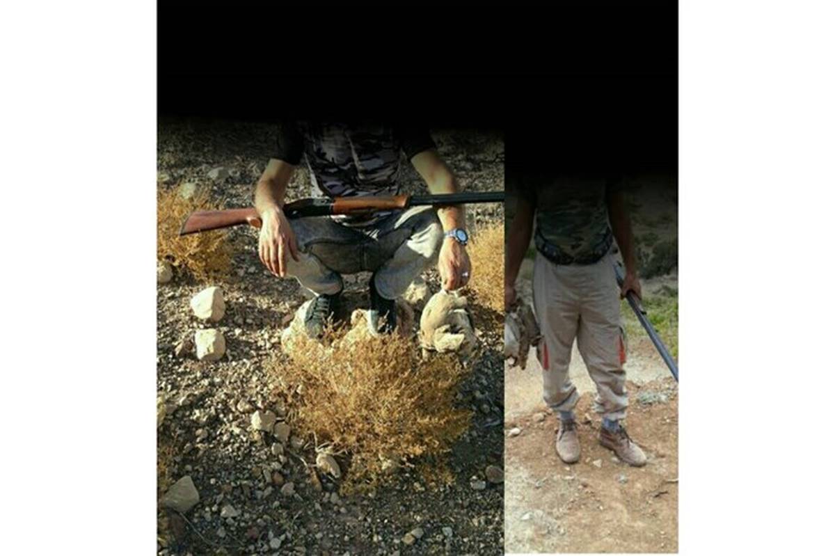انتشار عکس در اینستاگرام  و دستگیری شکارچی غیر مجاز