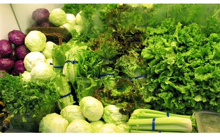 صادرات بیش از ۲۵ هزار تن سبزیجات و صیفی جات پاییزه اندیمشک